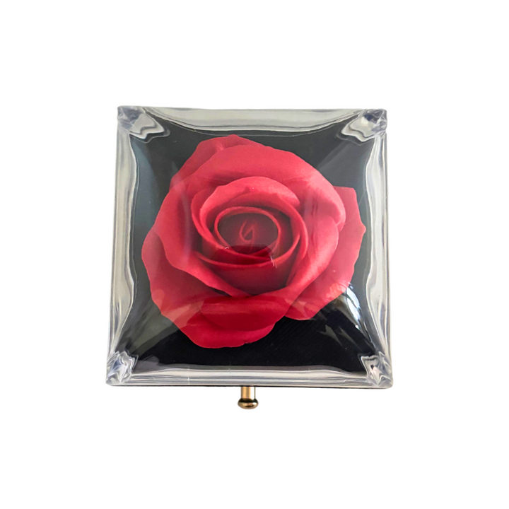 Box Love Trilogy Future Chic