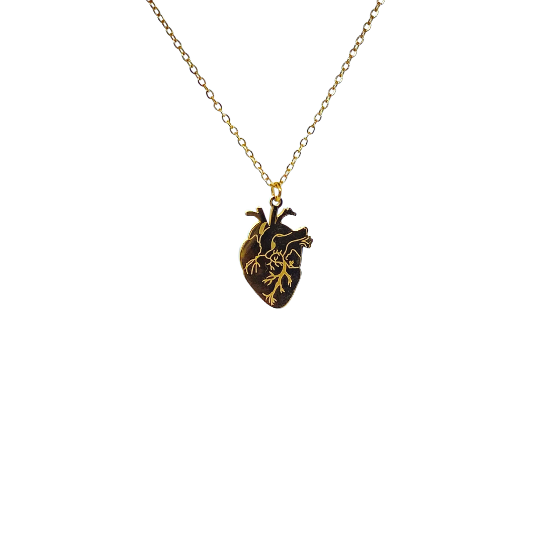 Collana Cuore Anatomico