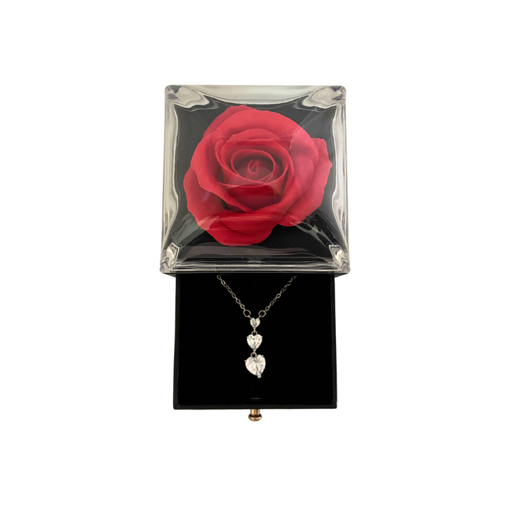 Box Love Trilogy Future Chic